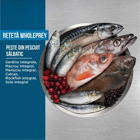 ORIJEN Six Fish – hrană uscată fără cereale pentru câini, cu pește, 11,4 kg